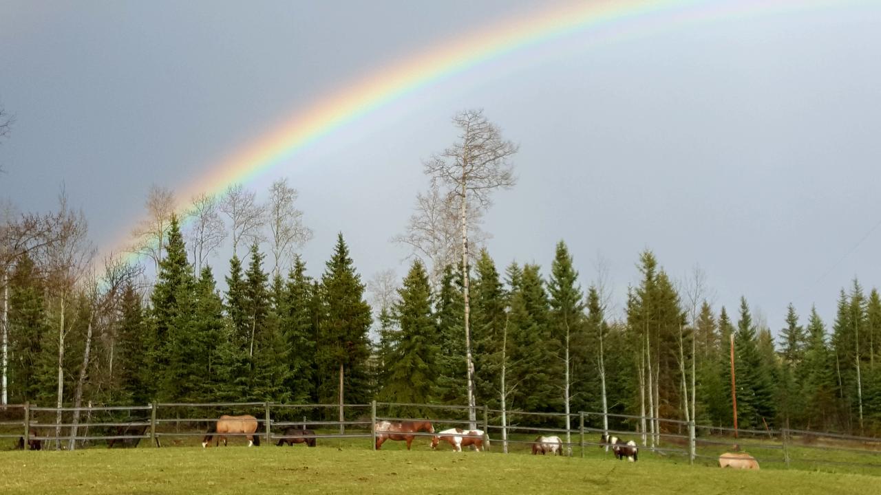 Wettstone Guest Ranch Bed & Breakfast Bridge Lake Екстериор снимка