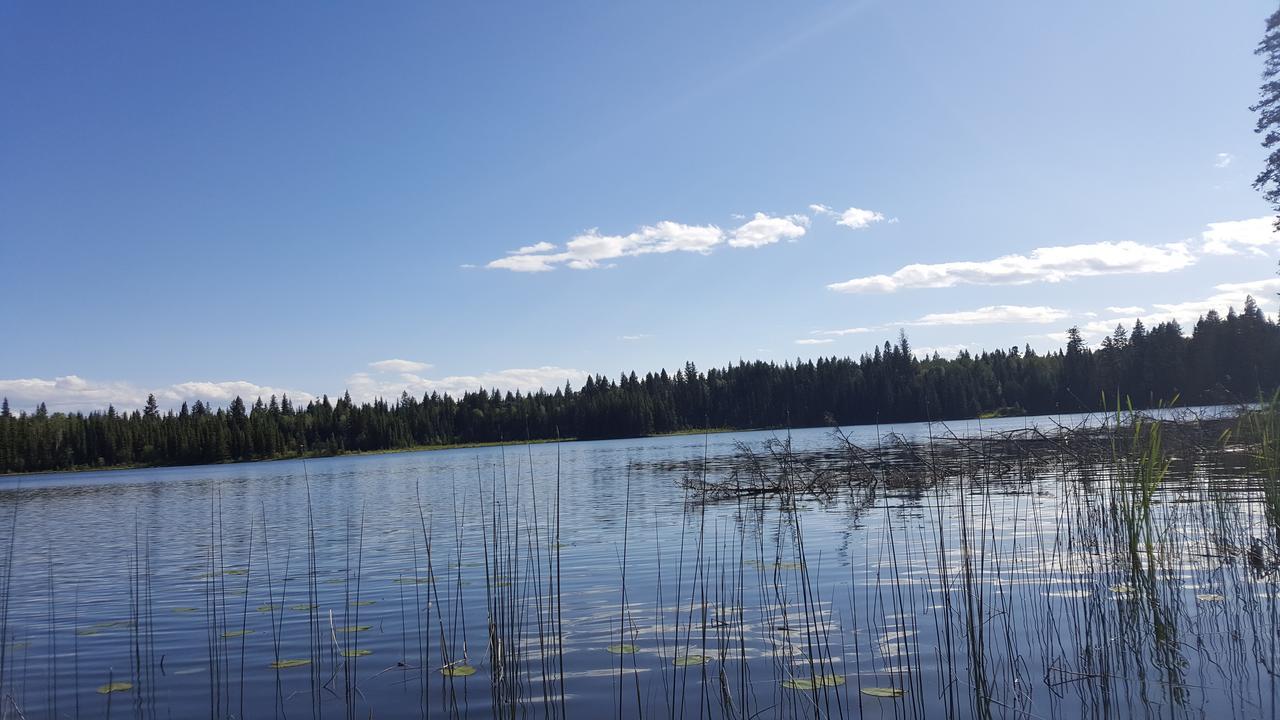 Wettstone Guest Ranch Bed & Breakfast Bridge Lake Екстериор снимка