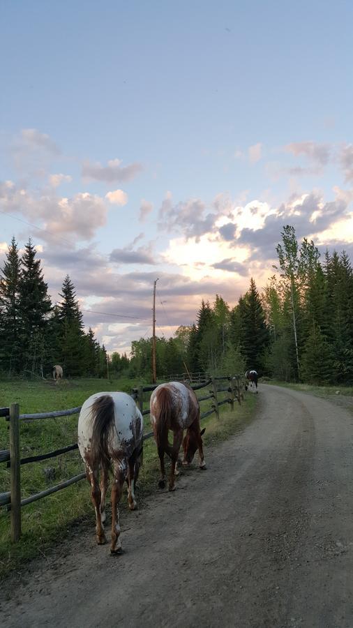 Wettstone Guest Ranch Bed & Breakfast Bridge Lake Екстериор снимка