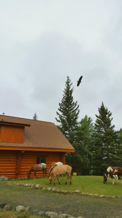 Wettstone Guest Ranch Bed & Breakfast Bridge Lake Екстериор снимка