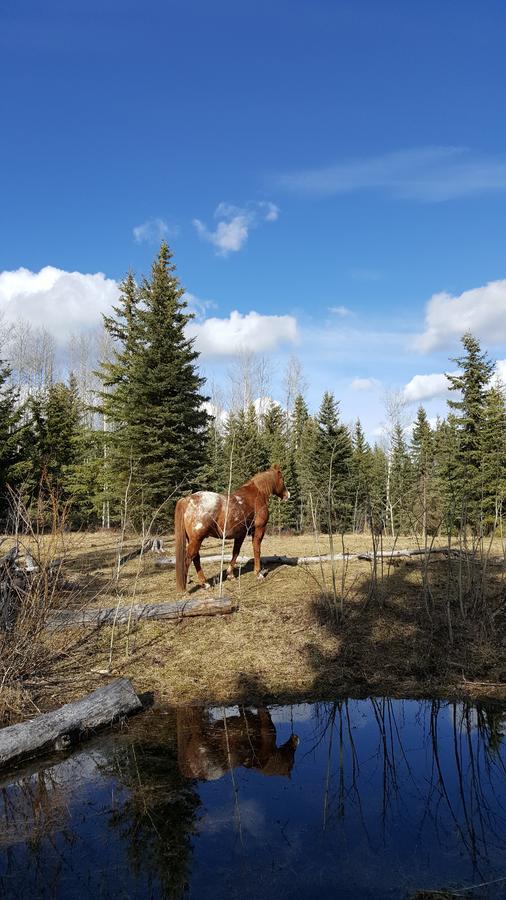 Wettstone Guest Ranch Bed & Breakfast Bridge Lake Екстериор снимка