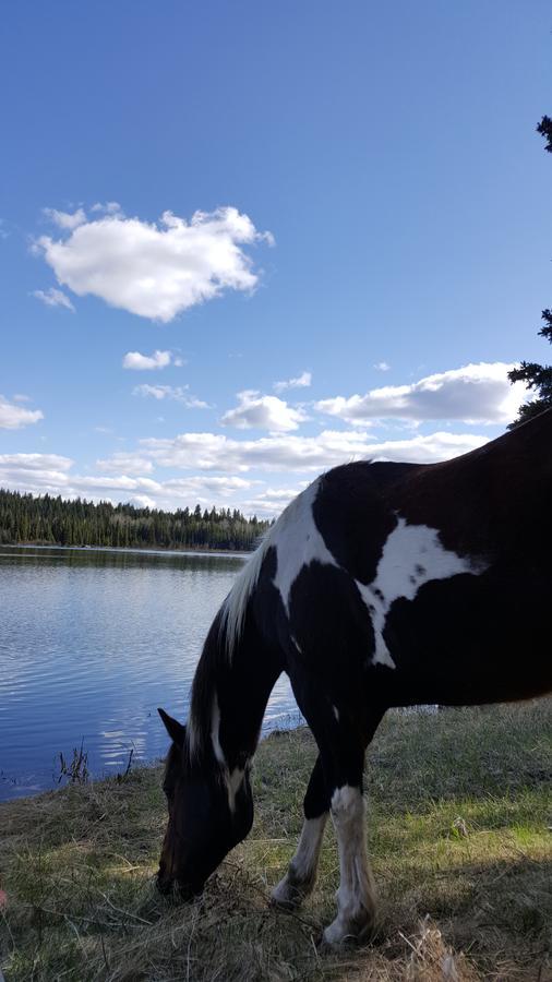 Wettstone Guest Ranch Bed & Breakfast Bridge Lake Екстериор снимка