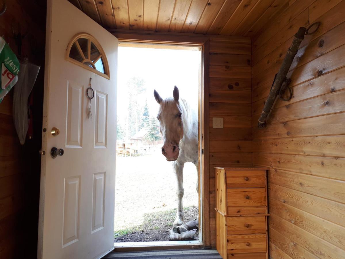 Wettstone Guest Ranch Bed & Breakfast Bridge Lake Екстериор снимка