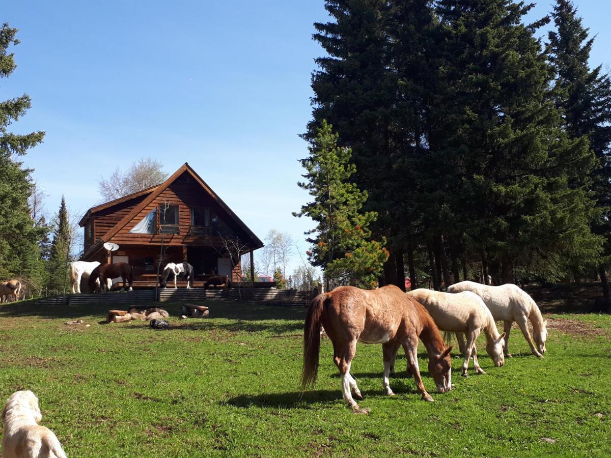 Wettstone Guest Ranch Bed & Breakfast Bridge Lake Екстериор снимка